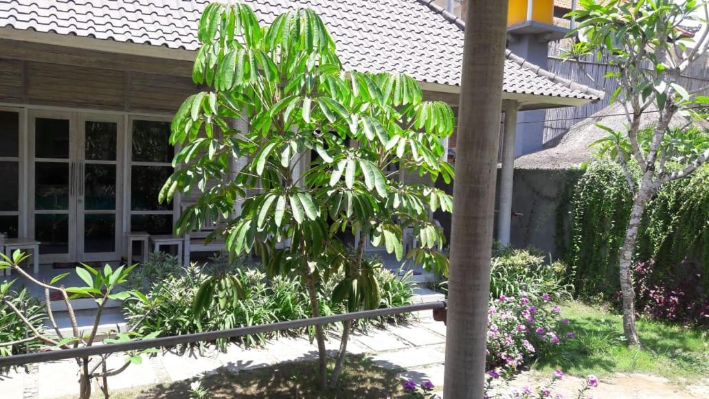 Hotel Vista Huts Lembongan Esterno foto